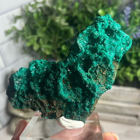 Dioptase - Picture 5 of 5